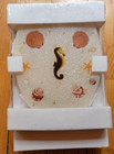 New Elongated Toilet Seat With Shells   Sea Horse Quiet Slow Close Strong Resin