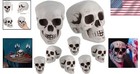 8-pack Human Skeleton Head Decor For Halloween  3 1x3 5x4 7 