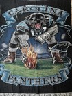 Vintage Nfl The Northwest Company Panthers Throw Blanket 