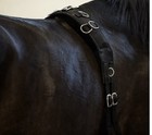 Horse Lunging Surcingle - Black Nylon Roller For A Variety Of Training Needs
