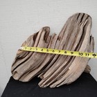 Large Driftwood Pine Knot Wood Working Craft Or Decor Piece