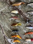 Lot Of 20 Vintage Fishing Lures  Fred Arbogast  Cordell  Martin  Rapala  Etc 