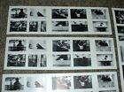 Gb Uk 100 Genuine 1st Class Cats Dogs Stamps Postal Use Postage Face   170 Mint