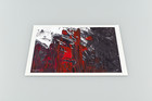 From The Darkness - High Quality Giclee Art Print - Unframed Or Framed
