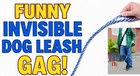 Invisible Walking Dog Leash Joke Gag Prank Toy Funny Gift Clown Wire Harness New