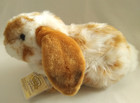 Webkinz Signature Lop Bunny Plush Sealed Code New Wks1025 Realistic 12   Htf