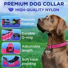 Unique Reflective Dog Collar Extra Soft Padding Various Colors   Sizes 