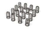 Gm Performance Lsx Ls7 Valve Springs  650 Max Lift - Set Of 16