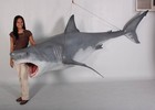 Hanging Great White Shark Life Size Resin Statue Sea Animal Prop Display Decor