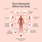 Natural Echinacea   Goldenseal Garlic   More - 120 Caps - Made In Usa