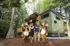 The Cabins At Disney s Fort Wilderness Resort Any 1 Nights Any Year Cabin Dvc