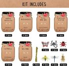 Valentines Day Gifts For Kids - 30 Pack Love Bug Card Bulk 6 Different Bugs Toy