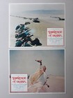 Lawrence Of Arabia 1962 Lot Of  Lobby Cards 11 X 14