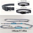 Hands Free Dog Walking Belt Jogging Waist Pet Dual-handle Training Bungee Leash