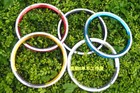 Litepro 14  Inch Bike Rim Fold Bicycle Wheel Rim 20 Holes Clincher Wheel Ring