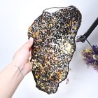 423g Beautiful Sericho Pallasite Meteorite Slice - From Kenya C4878