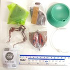 Bandai Gashapon Mantis 02 Action Figure 03 Dead Leaf Mantis Dark Brown Japan