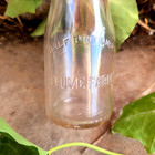 Vintage Glass Milk Bottle Flume Farms Half Pint