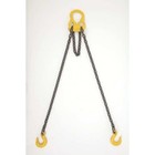 Lift-all 30001g10 6ft  Chain Sling  G100  Alloy Steel