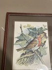 Birds Prints Framed X2 Vintage Vortigern Wood Frames Cottagecore Decor