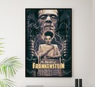 Bride Of Frankenstein 1935 - Australia - V1 - Classic Movie Poster Ebay
