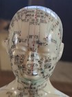 Beige Plastic Acupuncture Model With Meridians And Marked Points For Study