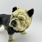 Vintage British Bulldog Large Black And Cram Cast Iron Coin Bank