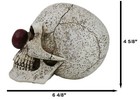 Halloween Creepy It Jester Clown Harlequin Skull With Maroon Nose Figurine