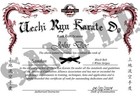 Home Study Course - Uechi Ryu Karate  dvds   Certificates 