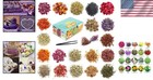 20 Varieties Of Natural Dried Flowers - Perfect For Soap  Candle   Bath Crafts