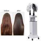 Nano Hair Steamer Multiple Anion Hair Color Processor Machine W  Ozone Treatment