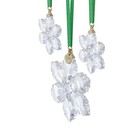 Swarovski Crystal 2026 Annual Edition Ornament Set  5732527