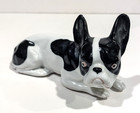 Vintage French Bulldog Porcelain Figurine Germany Black   White Dog
