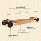 Longboard Skateboard  100mm Wheels  Bamboo Deck With Maple Core  40  X 9 25 