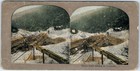 C1900s Australia Gold Mining Placer Dig Horse Construction Mine Stereoview V9