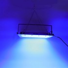 Full Body Tanning Light Usb Tanning Lamp Full Blue Sunbathing Lamp For Home Use