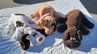 3 Tonka Pound Puppies 18  1985 Plush Puppy Dog Dark Brown  White   Brown W spots