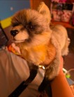 Hansa Grey Fox Plush