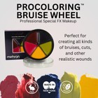 Mehron Procolorring Bruise Wheel Stage Theatrical Halloween Party Makeup