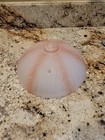 Antique 10  Art Deco Pink Frosted   Clear Glass Ceiling Light Fixture Shade  