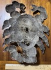 Painted Tin Mexican Crab Mask Colorful Used Blue Purple Folk Art