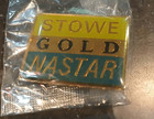 10 Stowe Gold Nastar Ski Pins