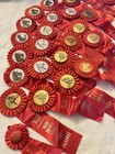 Equestrian 48 Vintage Horse 2nd Place Red Ribbons Rosettes Ventura  Ojai  Ca R4