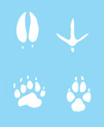 Stencils By Joanie 3  Animal Paw Print Bear Wolf Deer Turkey Tracks Diy Art Sign