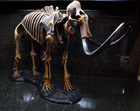 Wooly Mammoth Skeleton 3d Printed Hand Painted Fossil Replica