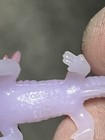 Yowie Axolotl Salamander Mini Figure