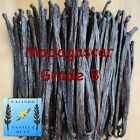 2oz Fresh Madagascar Vanilla Beans For Extract Grade B - 6  Vanilla Extract