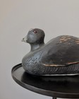 Antique Hand Painted And Carved Wood Coot Duck Decoy