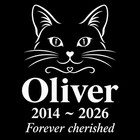 Pet Stone  Memorial  Grave Marker Granite Plaque  Headstone Dog Cat Memorial 6x6