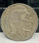 Hobo Nickel  buffalo Skeleton  Buffalo Nickel